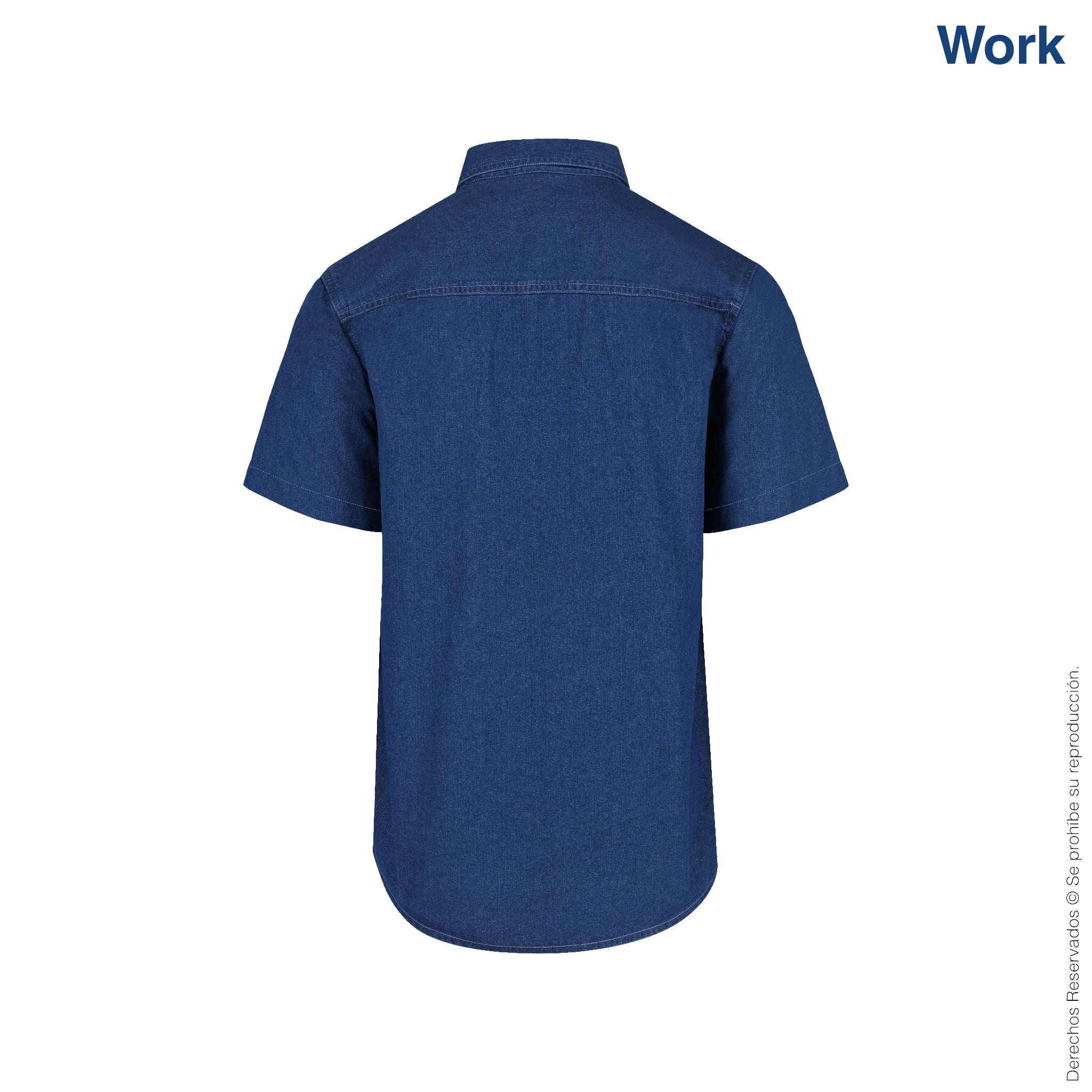 Camisa Manga Corta C0600 vista 3