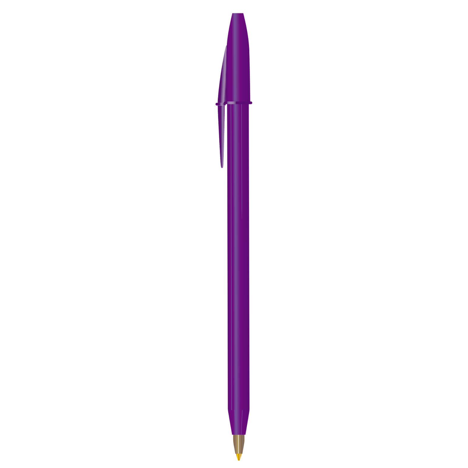 Bic vista 5