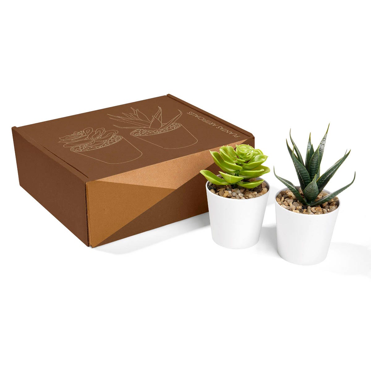 Set de Plantas Aliso vista 8