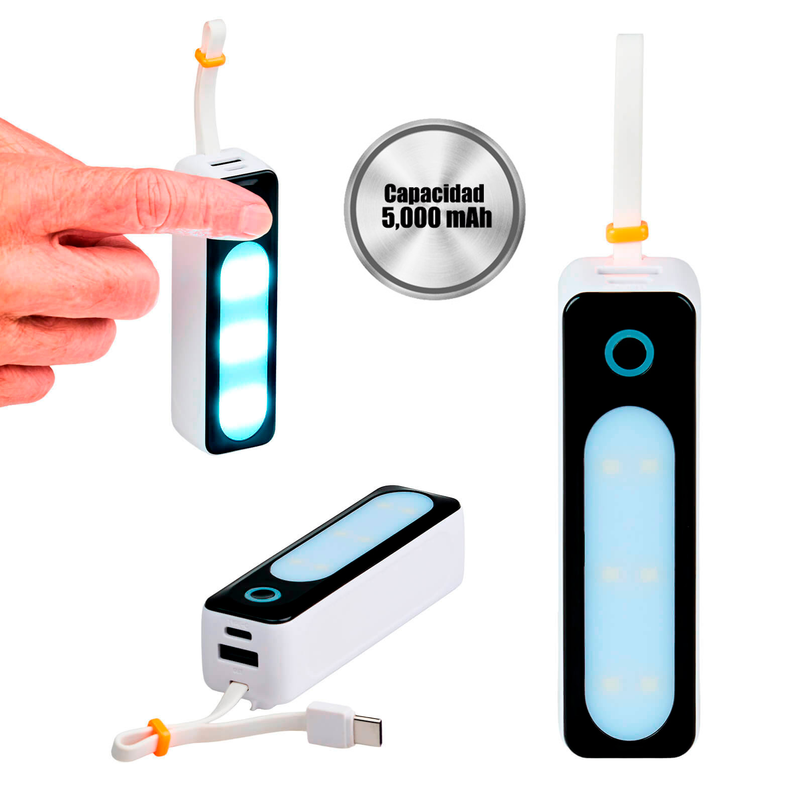 Power Bank Inuit