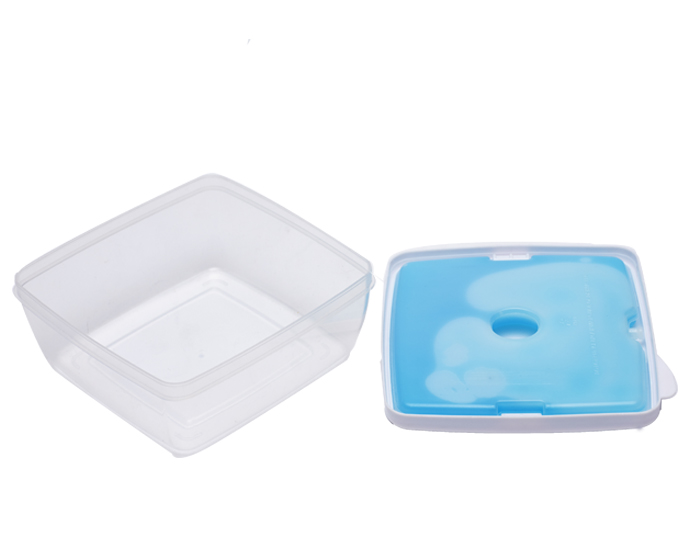 Recipiente con gel refrigerante Dilunch vista 4