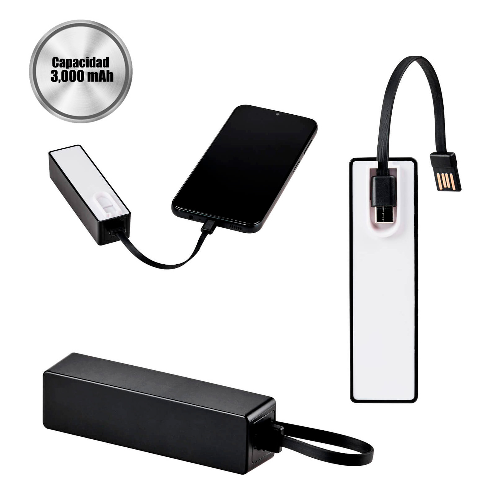 Power Bank Voor