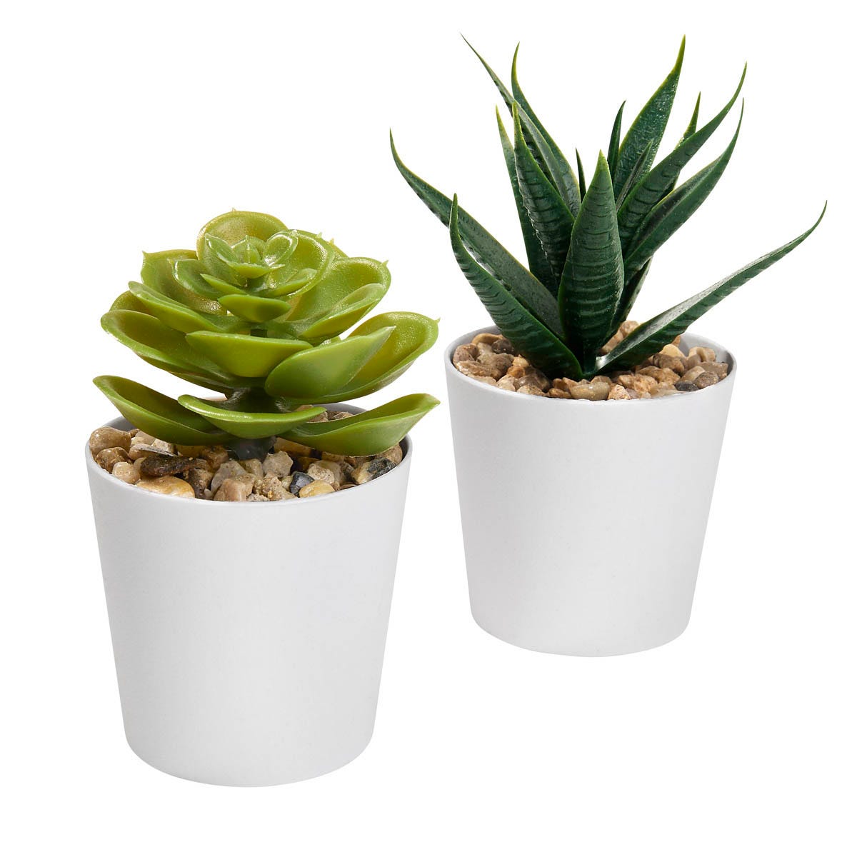 Set de Plantas Aliso vista 2