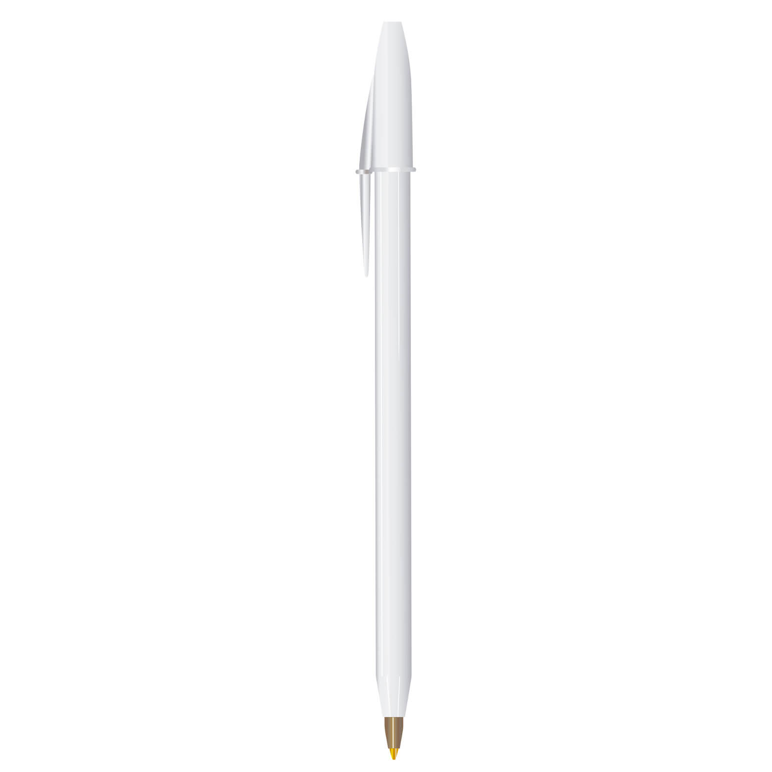 Bic vista 4