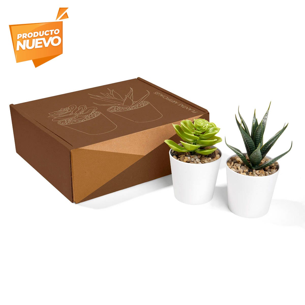 Set de Plantas Aliso