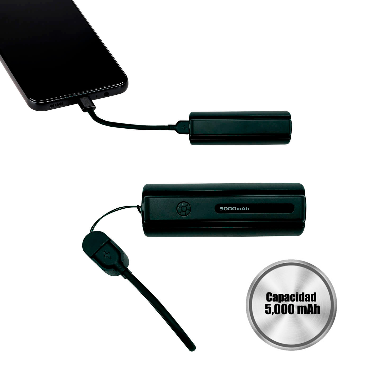 Power Bank Inti