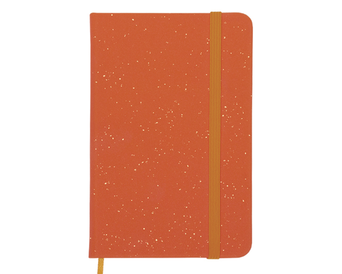 Ashley vista 4