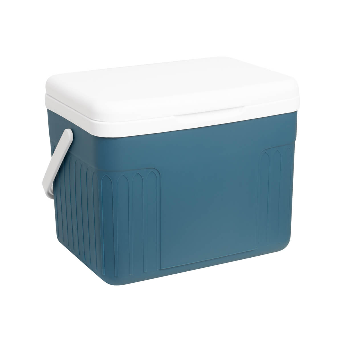 Mini Hielera Brixton vista 4